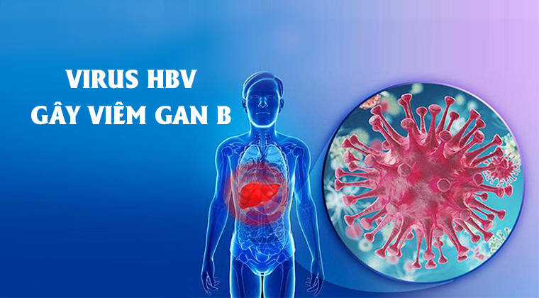 Viêm gan B là gì? Phòng bệnh viêm gan B như thế nào cho hiệu quả?