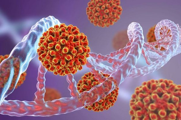 Các loại viêm gan virus và cách phòng ngừa