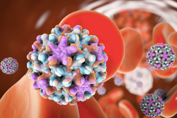 Viêm gan B thể người lành mang virus có chữa khỏi không?